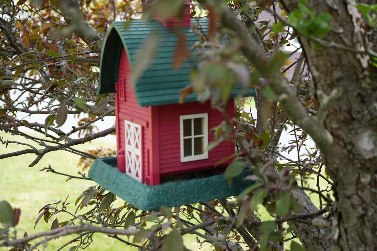 Business team meeting and collaboration